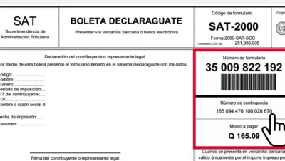 Guía Definitiva: Cómo Pagar tu Impuesto de Circulación 2025 con Tarjeta de Crédito