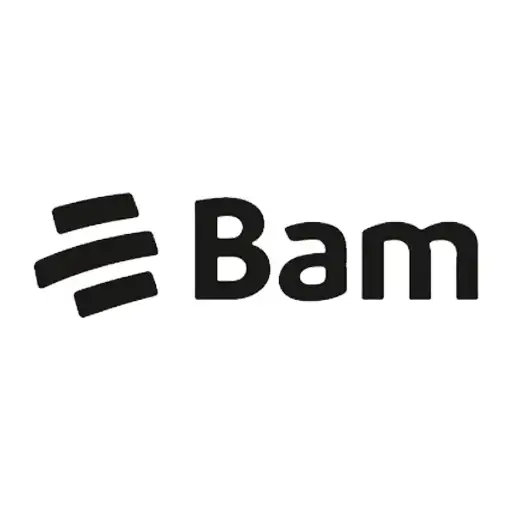 Logo de Bam